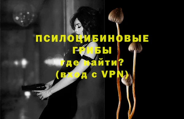 не бодяженный Зеленодольск