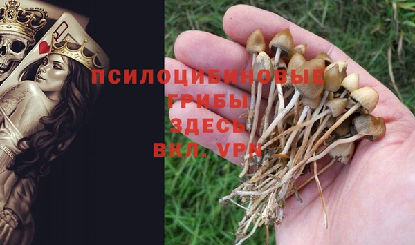 MESCALINE Зерноград